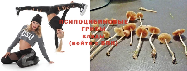 винт Бугульма