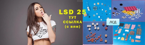 винт Бородино