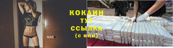 гашик Бронницы