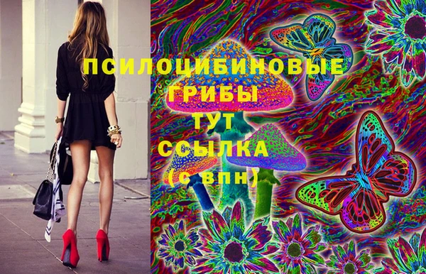 МДПВ Медвежьегорск