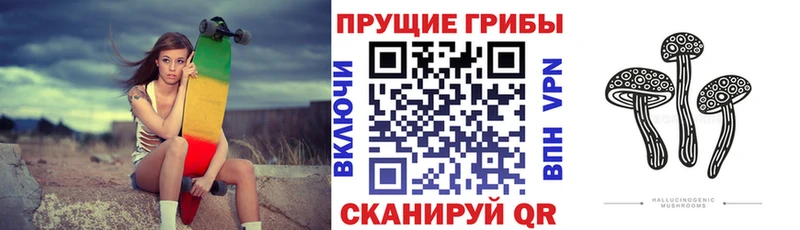 Галлюциногенные грибы мицелий Весьегонск